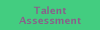 Executive and senior management leadership talent assessment and development support 
